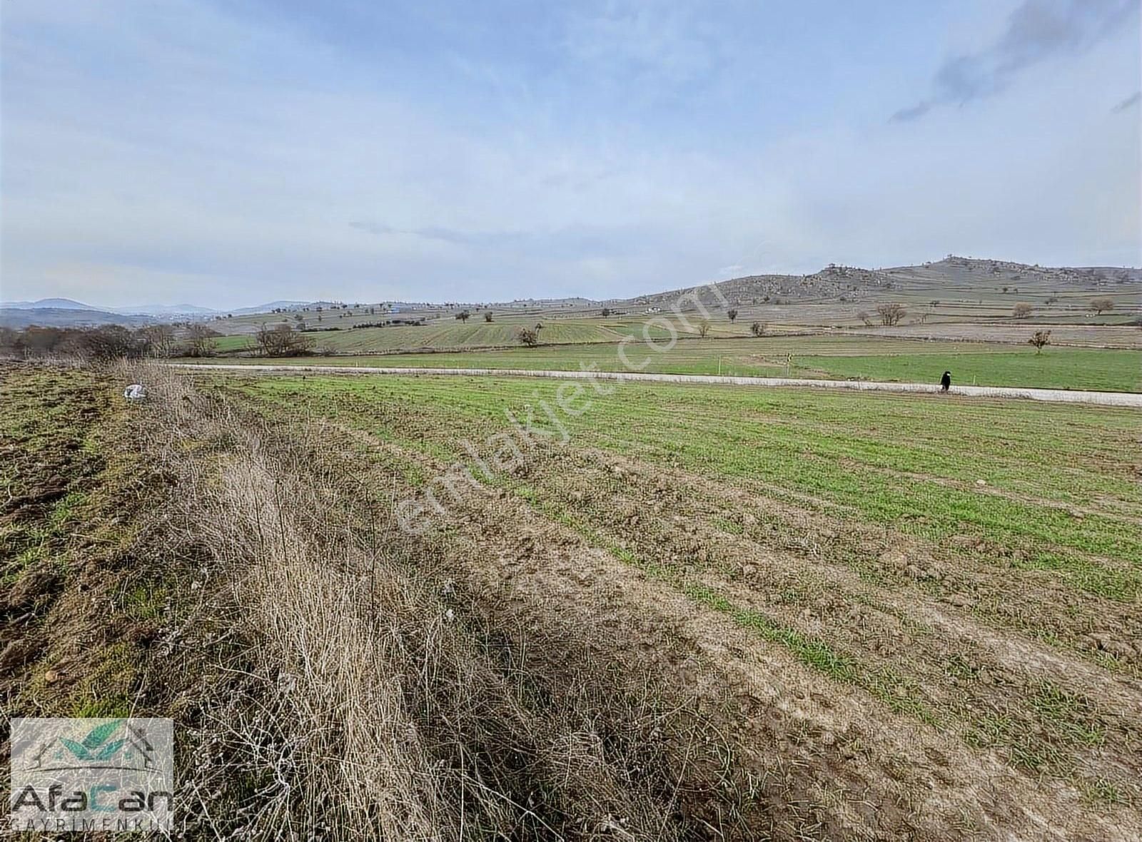 Asfalt Yola Cephe Elektrik Su Problemi Olmayan Harika Bahçe!!! - Görsel 3
