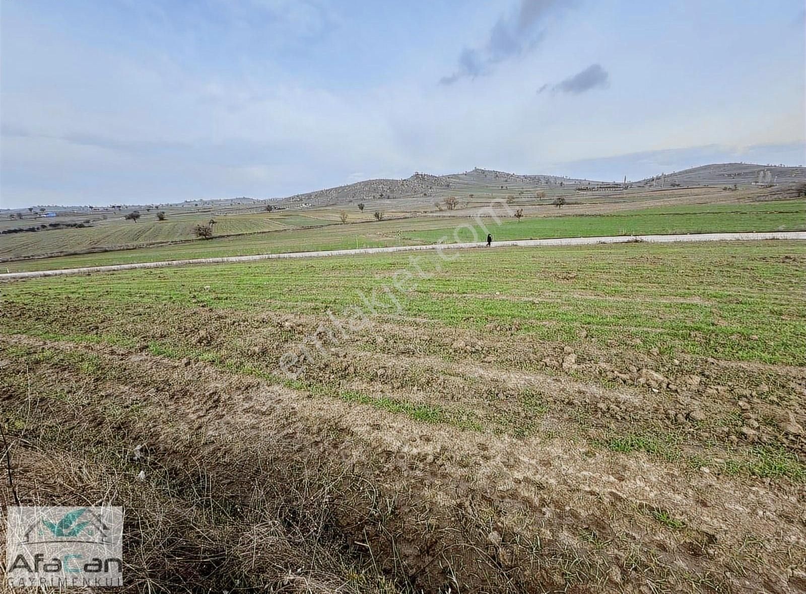 Asfalt Yola Cephe Elektrik Su Problemi Olmayan Harika Bahçe!!! - Görsel 17