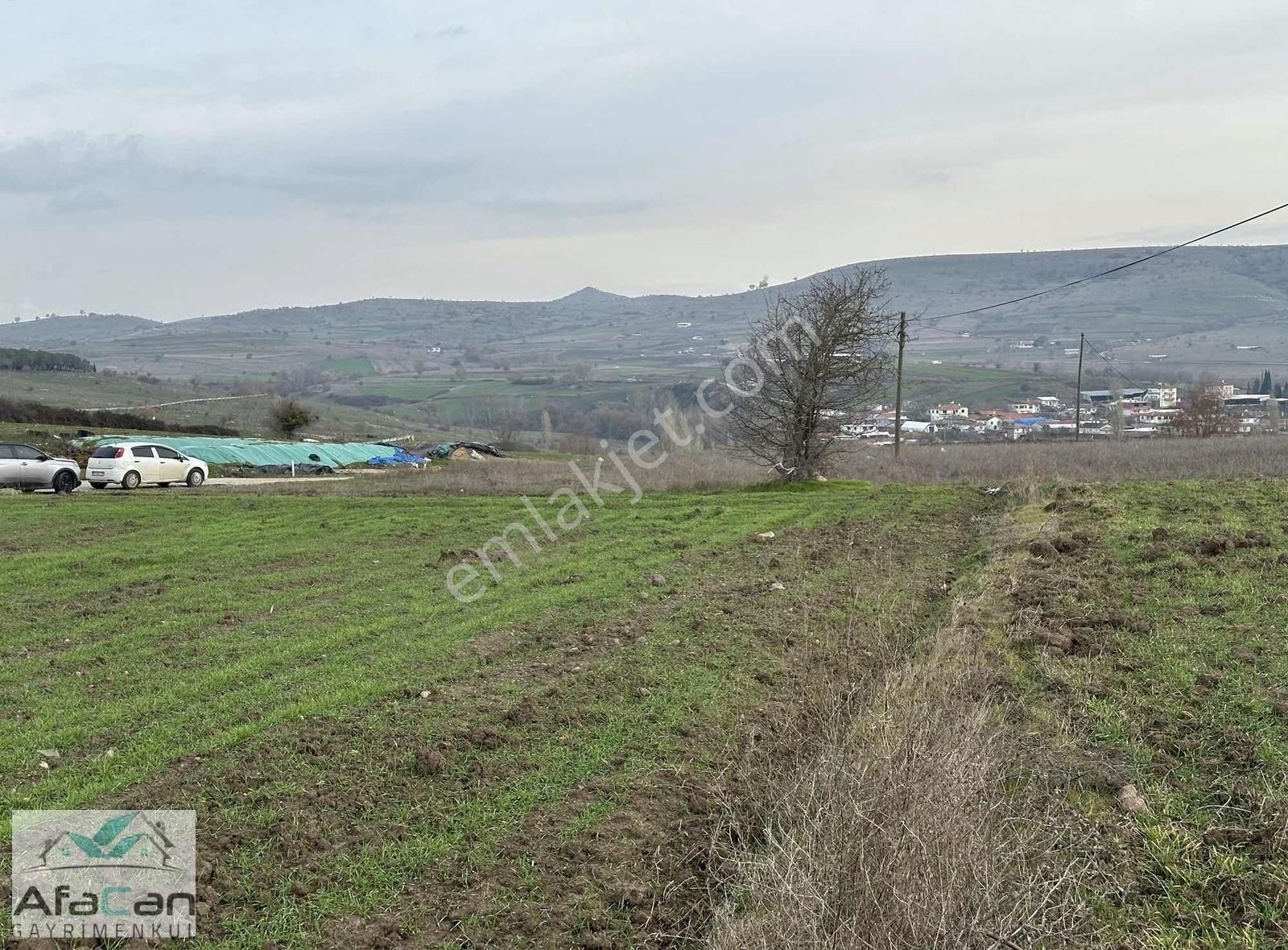 Asfalt Yola Cephe Elektrik Su Problemi Olmayan Harika Bahçe!!! - Görsel 14