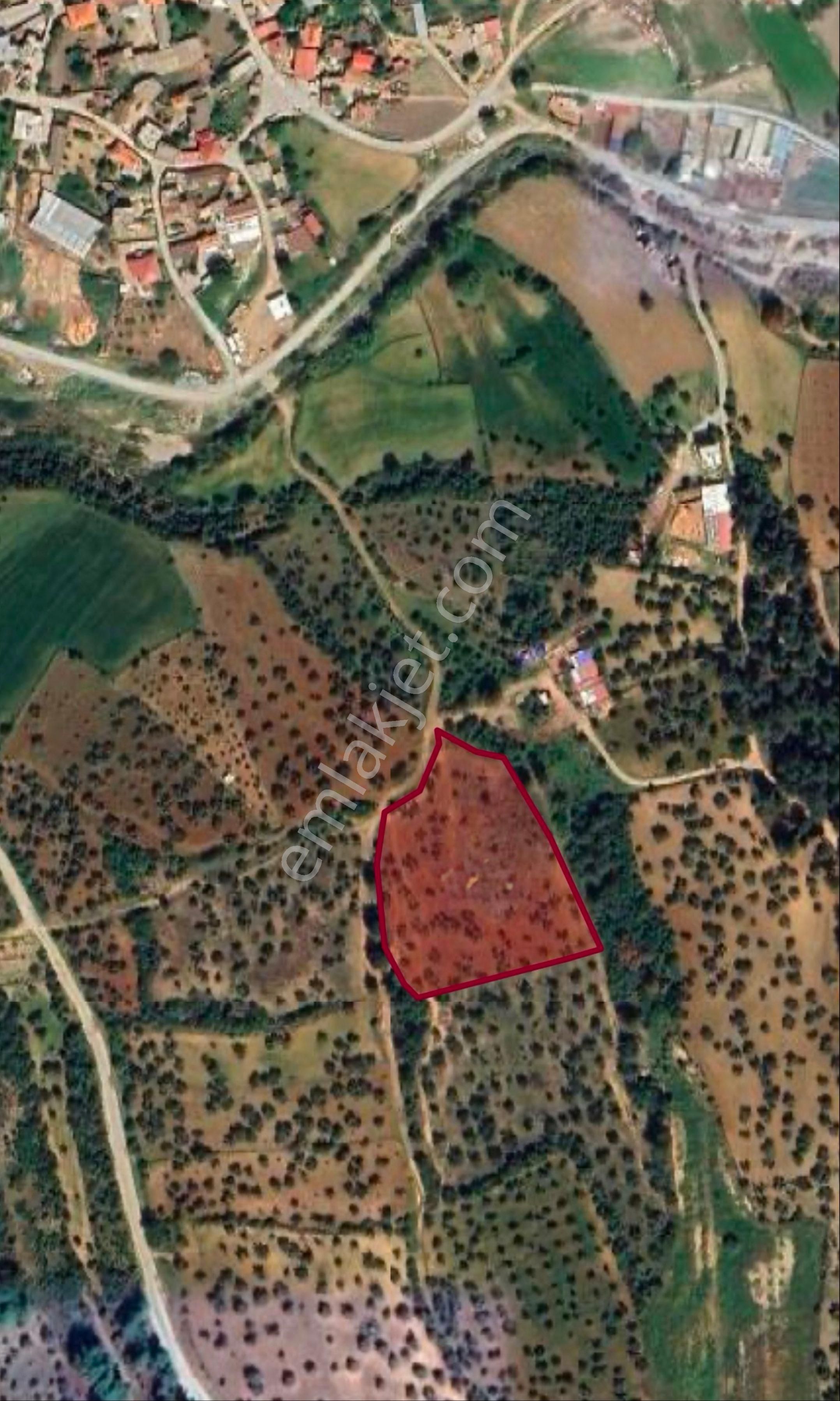 Çanakkale Merkez Dümrek Köyünde 8255m2 Satılık Arazi - Görsel 6