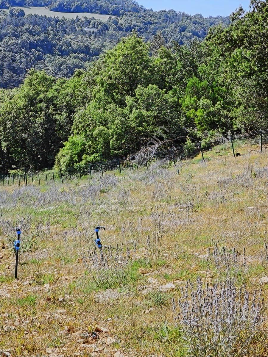 Dağyenice Fırsat Bahçeler - Görsel 9