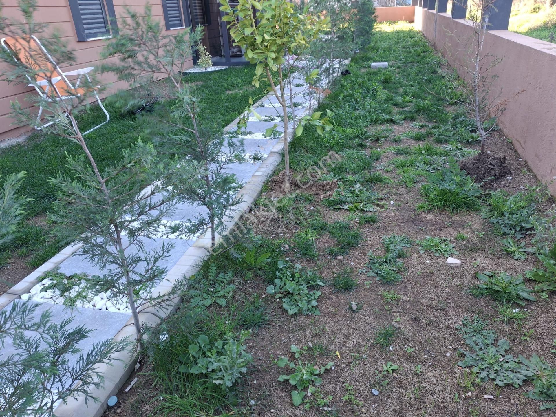 Bal Gayrimenkul -gölcüklerde Açık Mutfak Geniş Bahçeli 4+1 Villa - Görsel 32