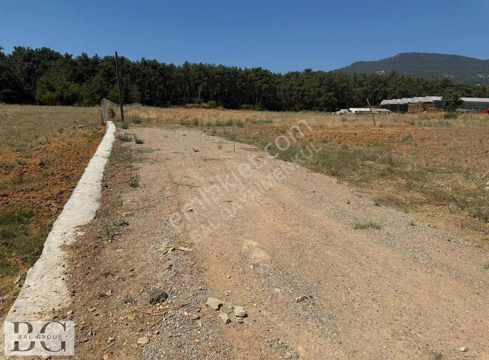 Bal Gayrimenkul - Ataköy 2267 M2 Ata Hisse Cadde Üzeri Satılık