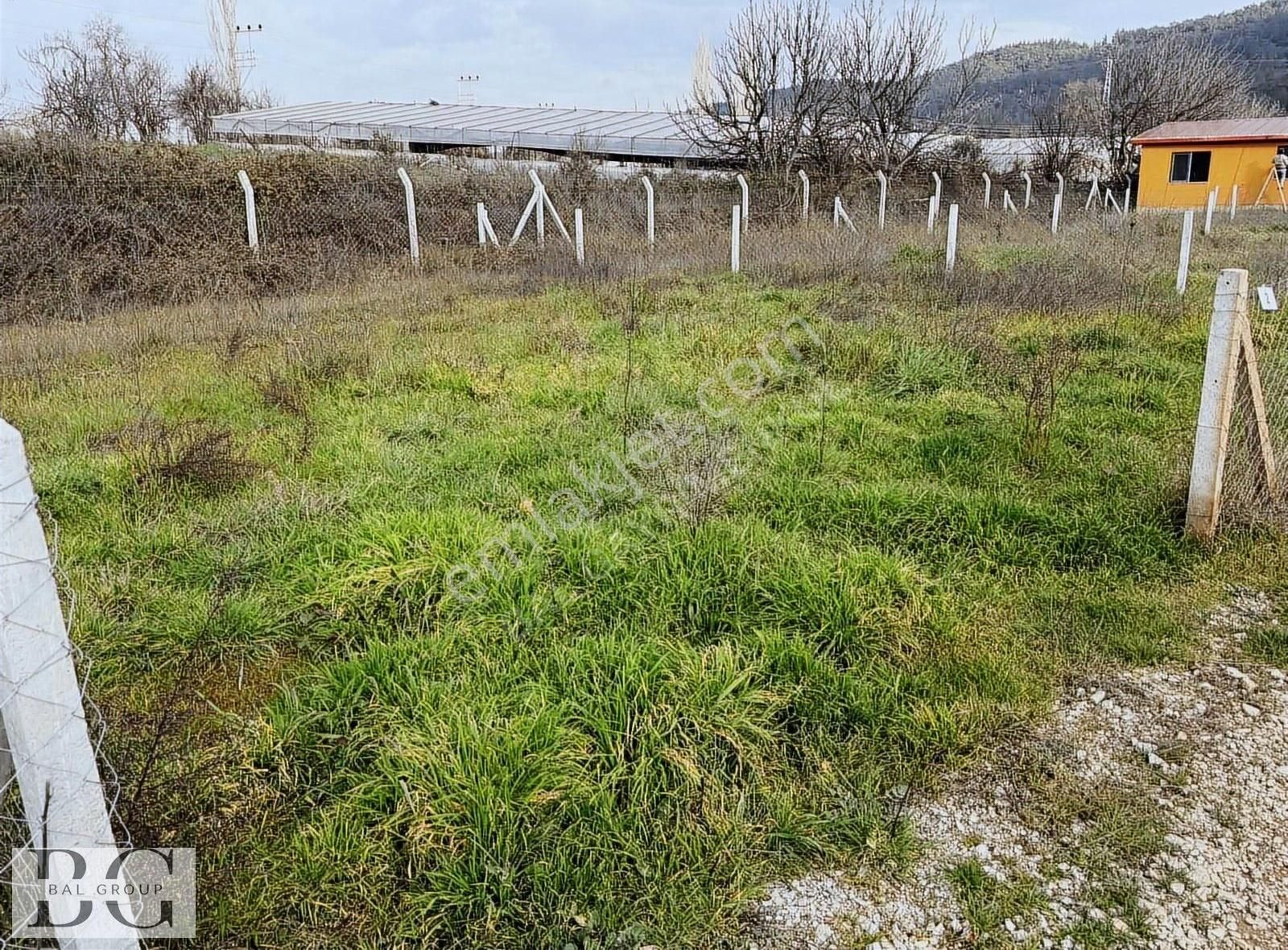 Bal Gayrimenkul - Yeniköyde Harika Konumda Yola Cepheli Bahçe - Görsel 2