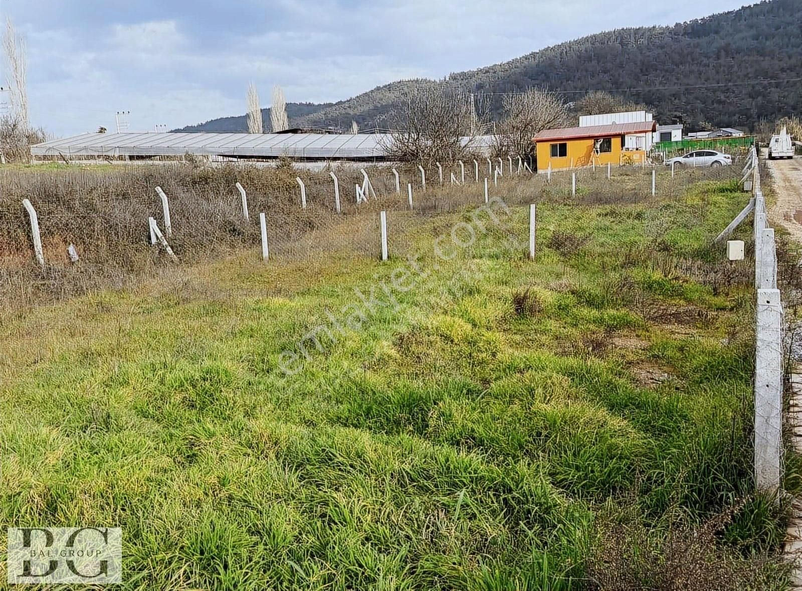 Bal Gayrimenkul - Yeniköyde Harika Konumda Yola Cepheli Bahçe - Görsel 3
