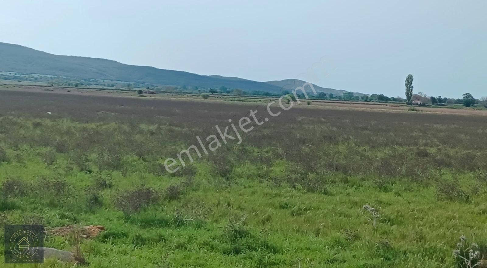 Eceabat Beşyol,da Hobi Bahçesi - Görsel 6