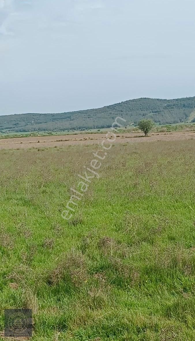 Eceabat Beşyol,da Hobi Bahçesi - Görsel 9