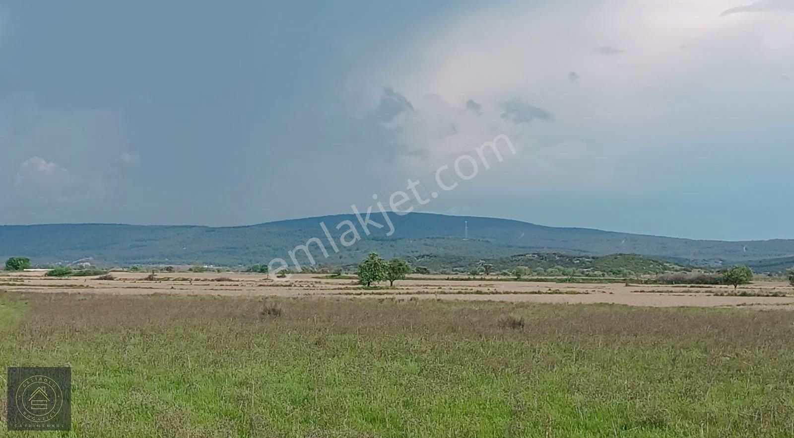 Eceabat Beşyol,da Hobi Bahçesi - Görsel 8