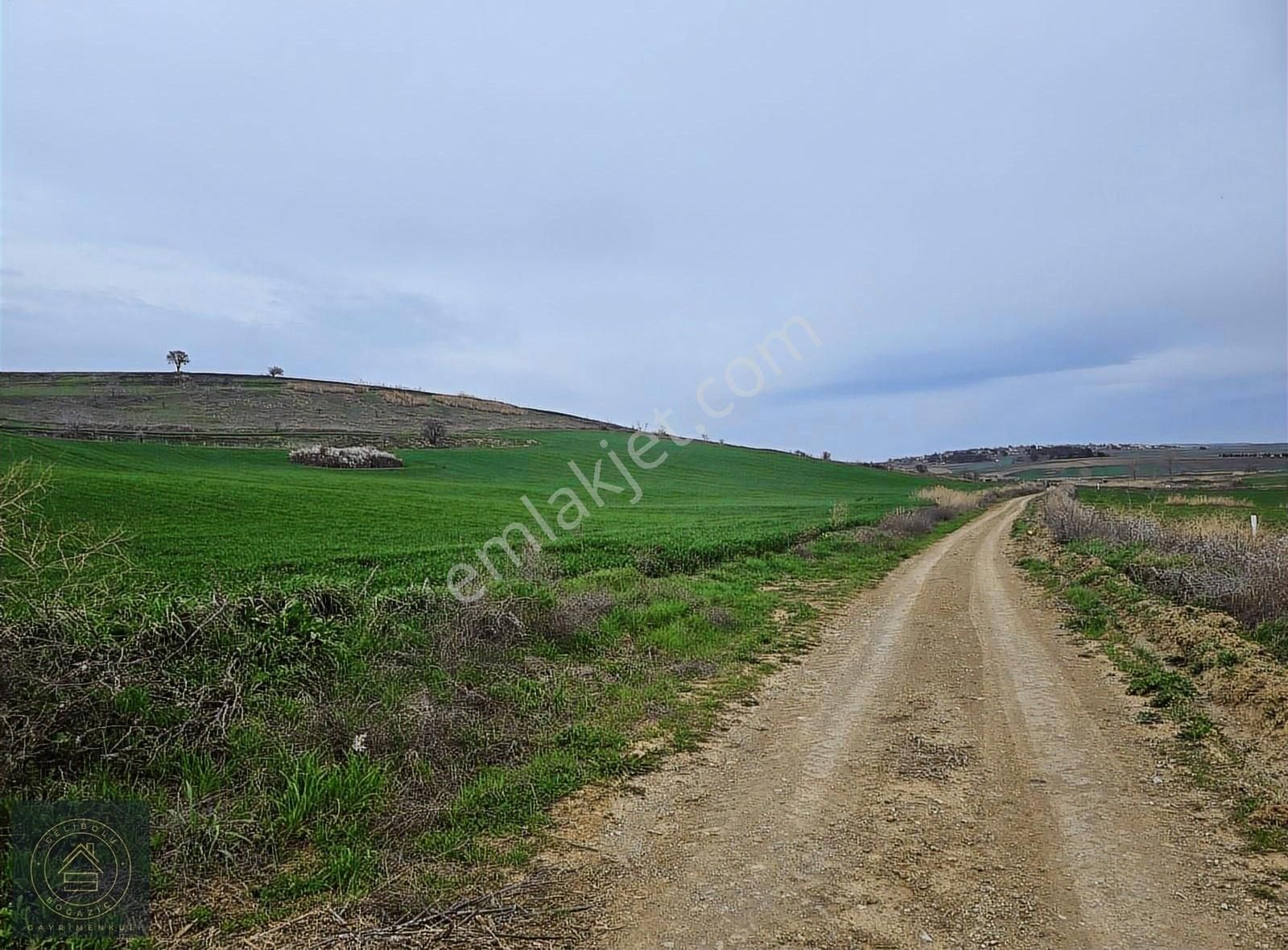 Gelibolu Boğaziçi Gayrimenkulden Bolayır Da Satılık Tarla - Görsel 2