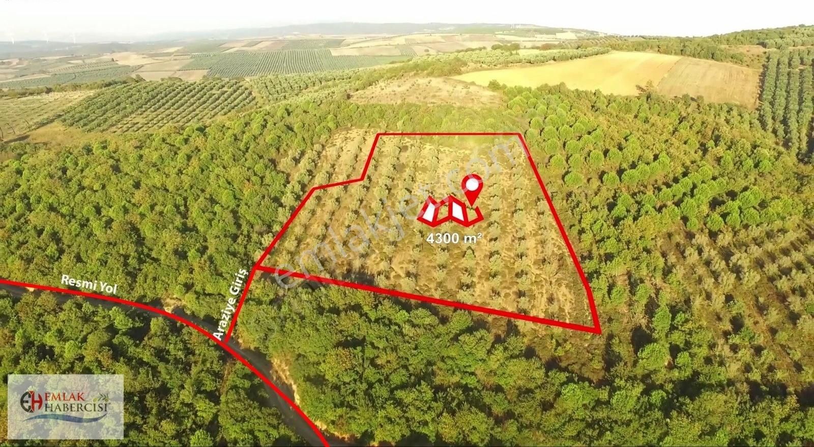 Emlakhabercisi'nden Mudanya-söğütpınar'da Satılık 4.327 M2 Arazi