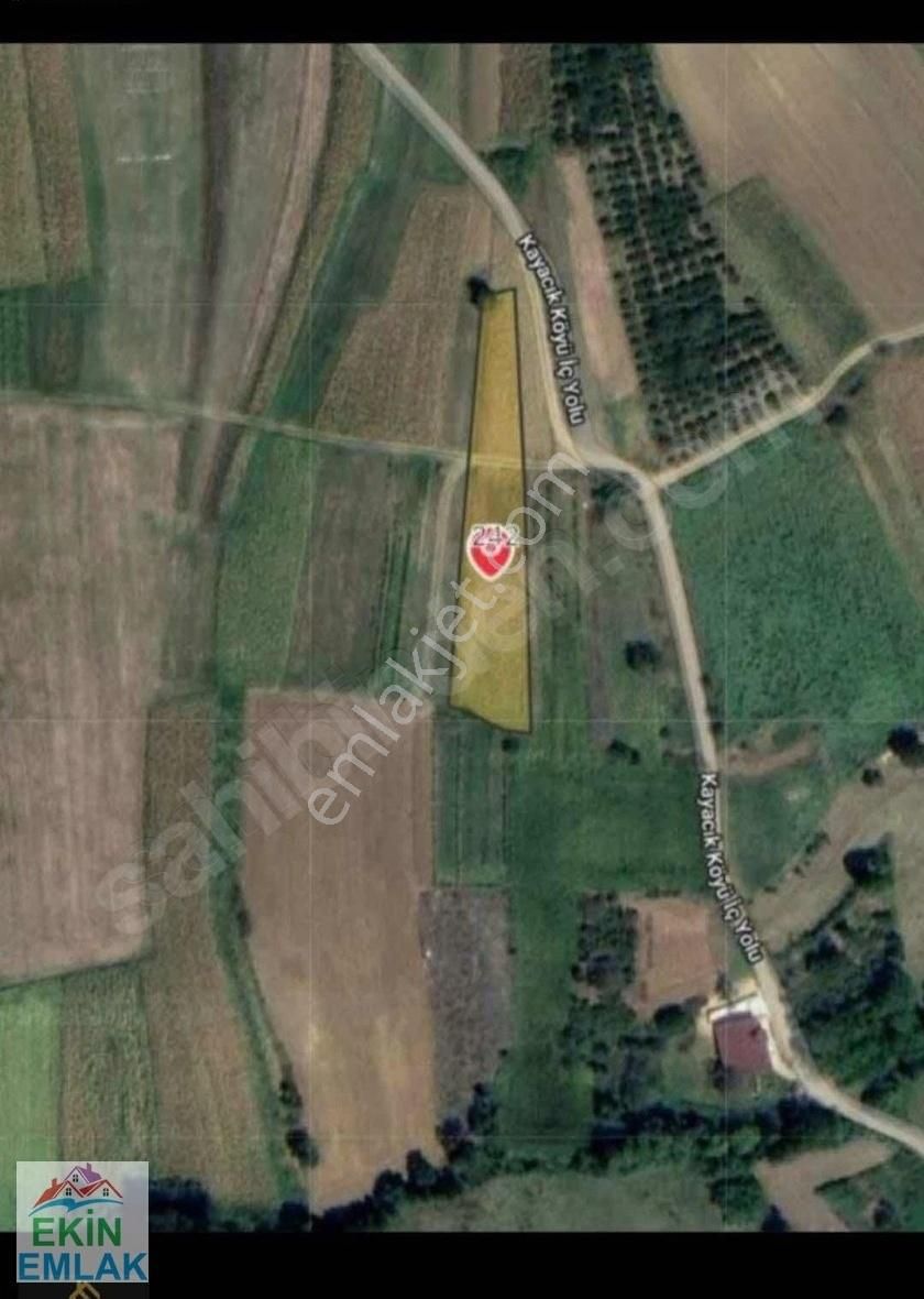Ekinden Sakarya Kaynarcada Satılık Arsa - Görsel 3