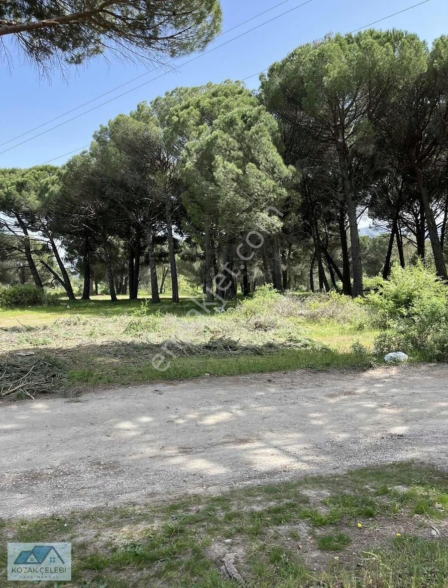 Ayvalık Yolu Üzeri Benzinlik Vasıflarını Taşıyan Düz Zemin Arazi - Görsel 16