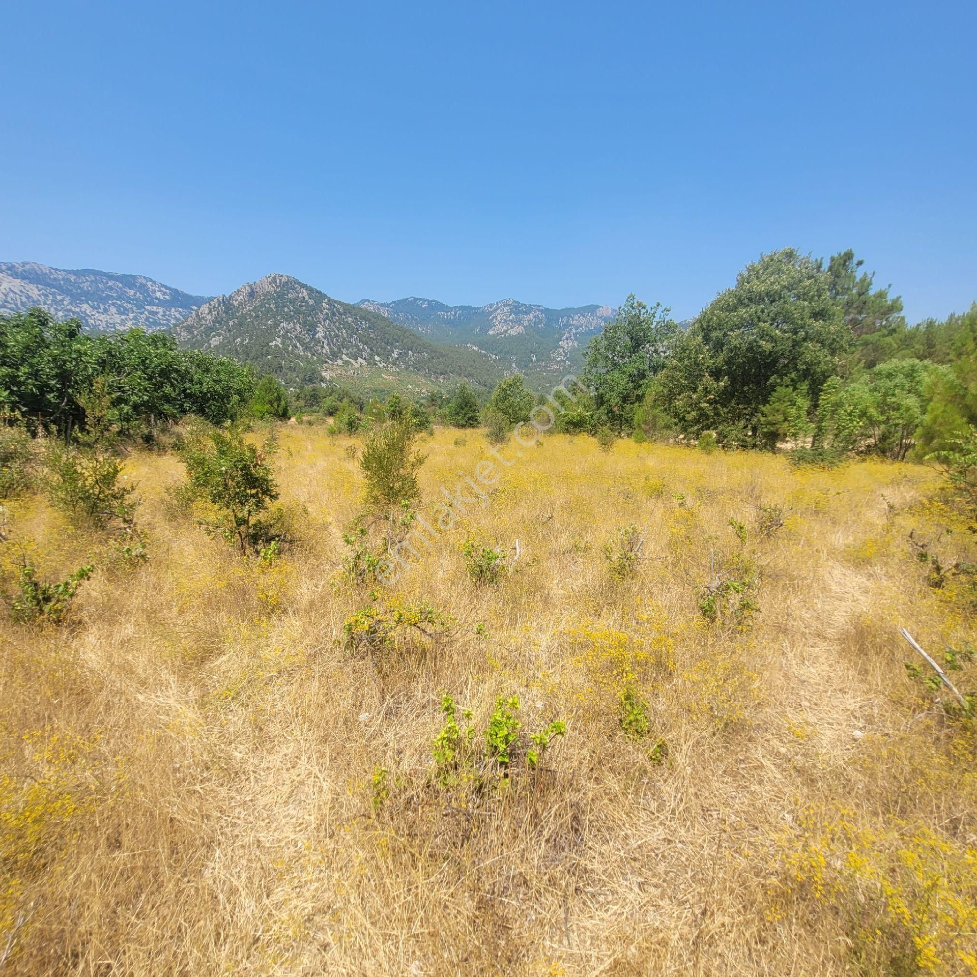 Trent Emlak'tan Akseki Mahmutlu 950 M2 Bağ-tarla - Görsel 4