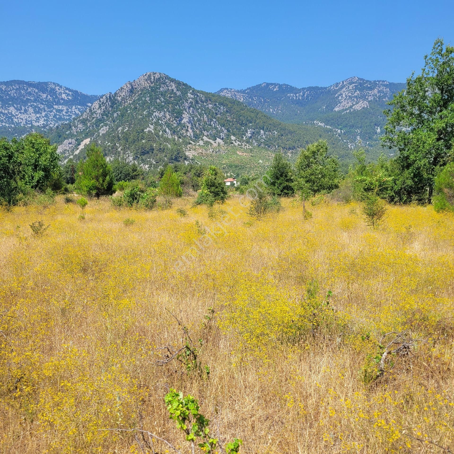 Trent Emlak'tan Akseki Mahmutlu 950 M2 Bağ-tarla - Görsel 14