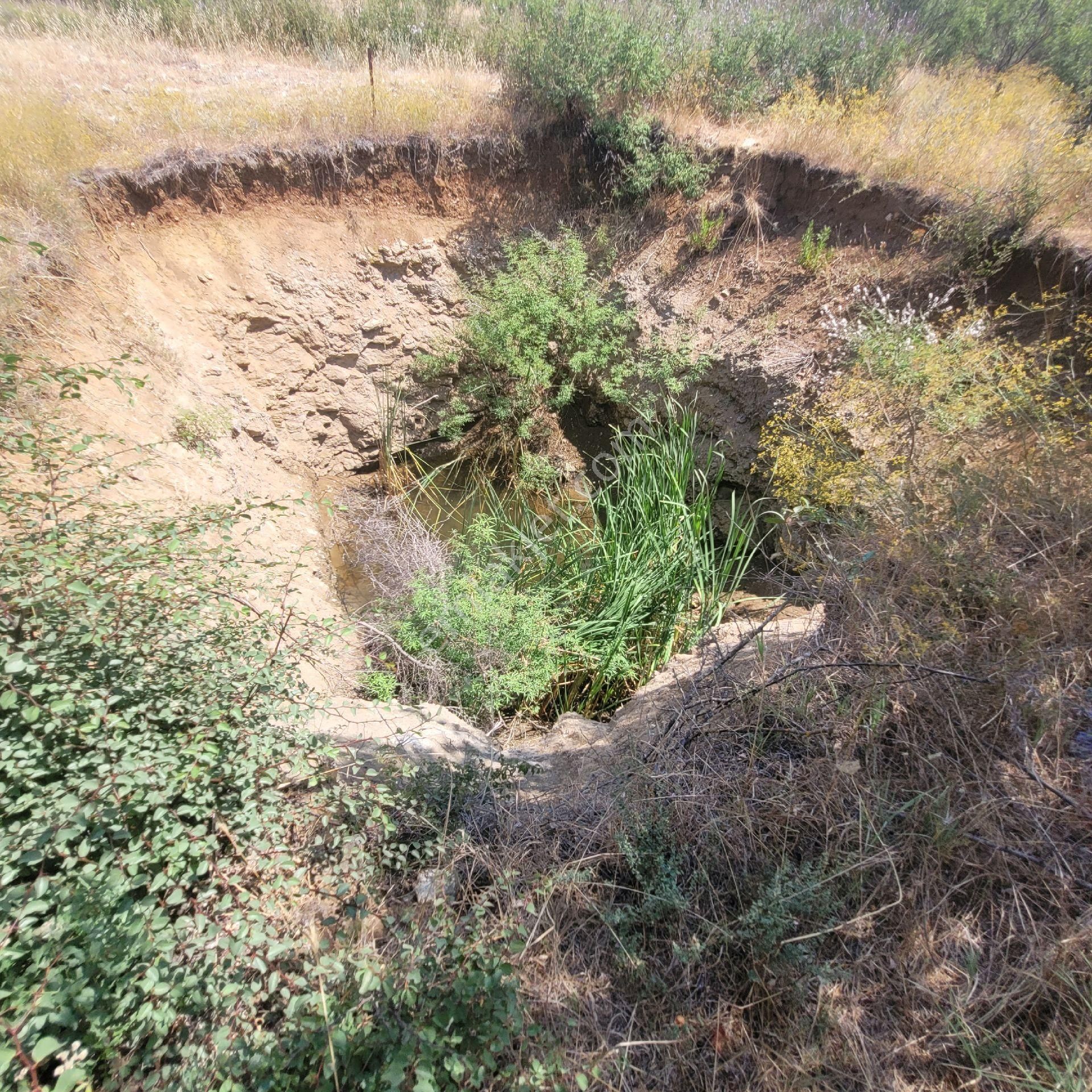 Trent Emlak'tan Akseki Mahmutlu 950 M2 Bağ-tarla - Görsel 17