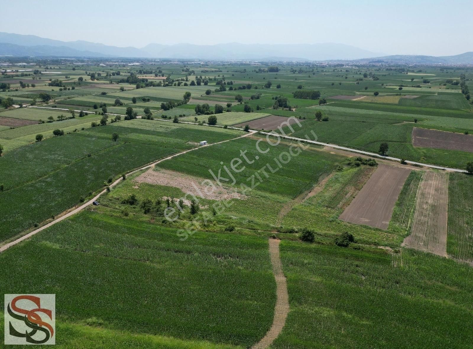 Adapazarı Çökekler Mahallesinde 2,440 M² Yatırımlık Tarla - Görsel 4