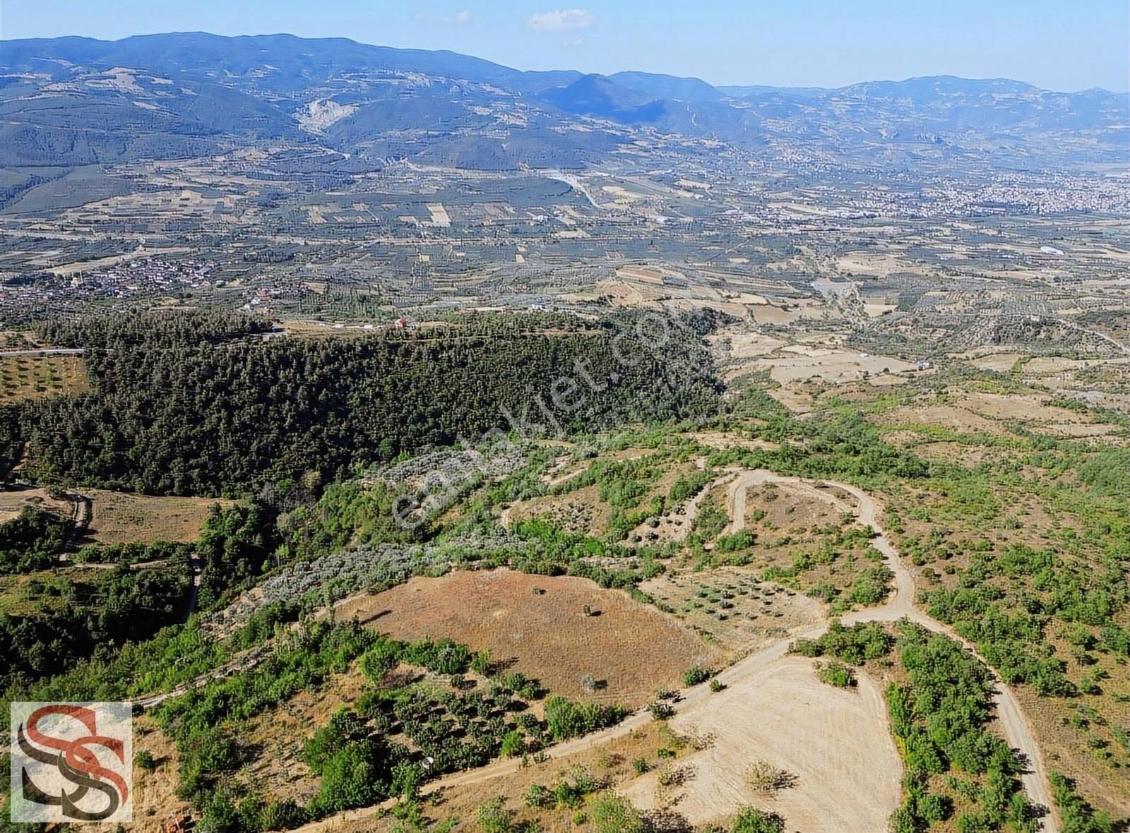 Geyve Kulfalar Mah. Muhteşem Konumda Yatırımlık 5.399 M² Tarla - Görsel 19