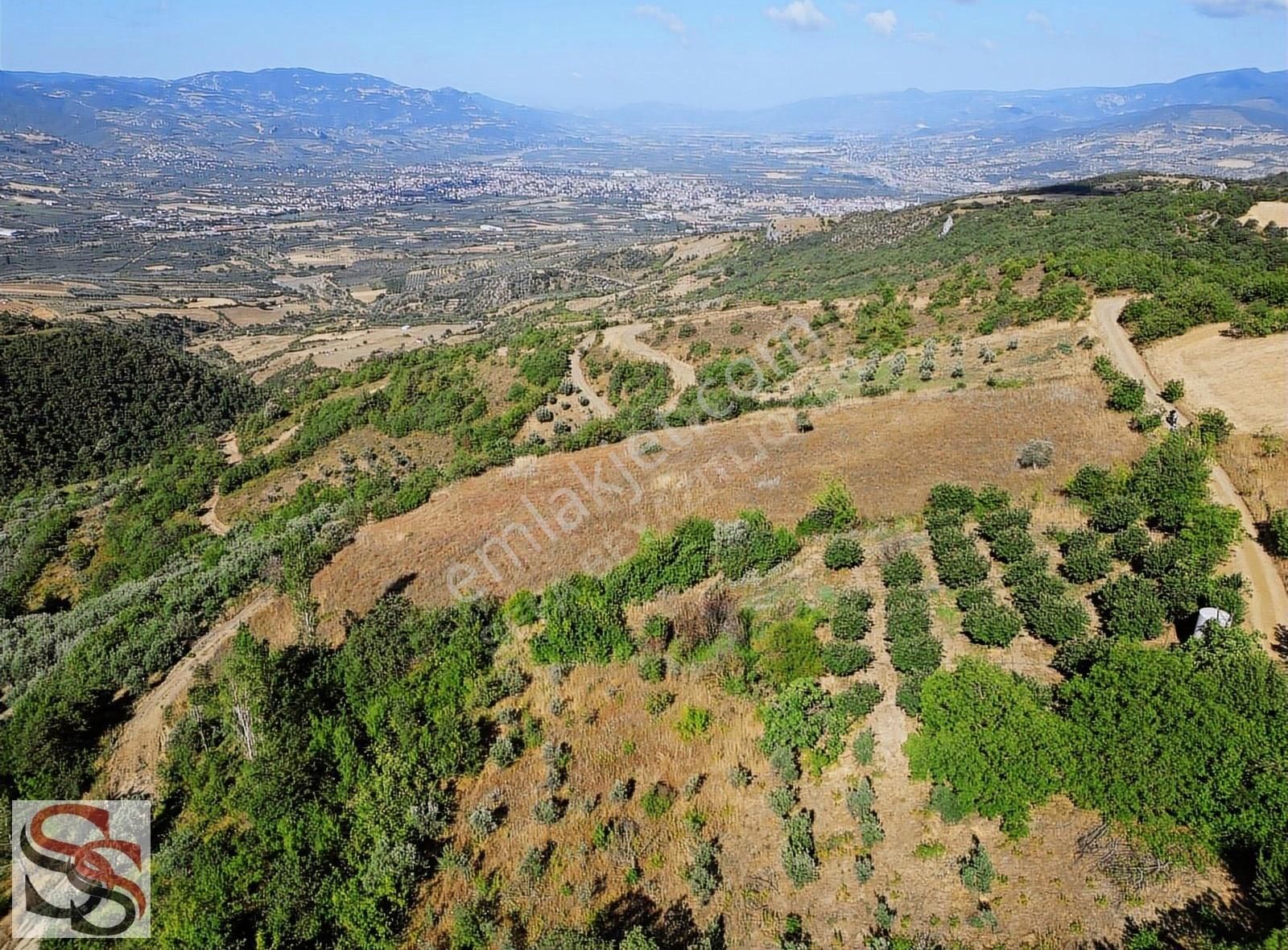Geyve Kulfalar Mah. Muhteşem Konumda Yatırımlık 5.399 M² Tarla - Görsel 24