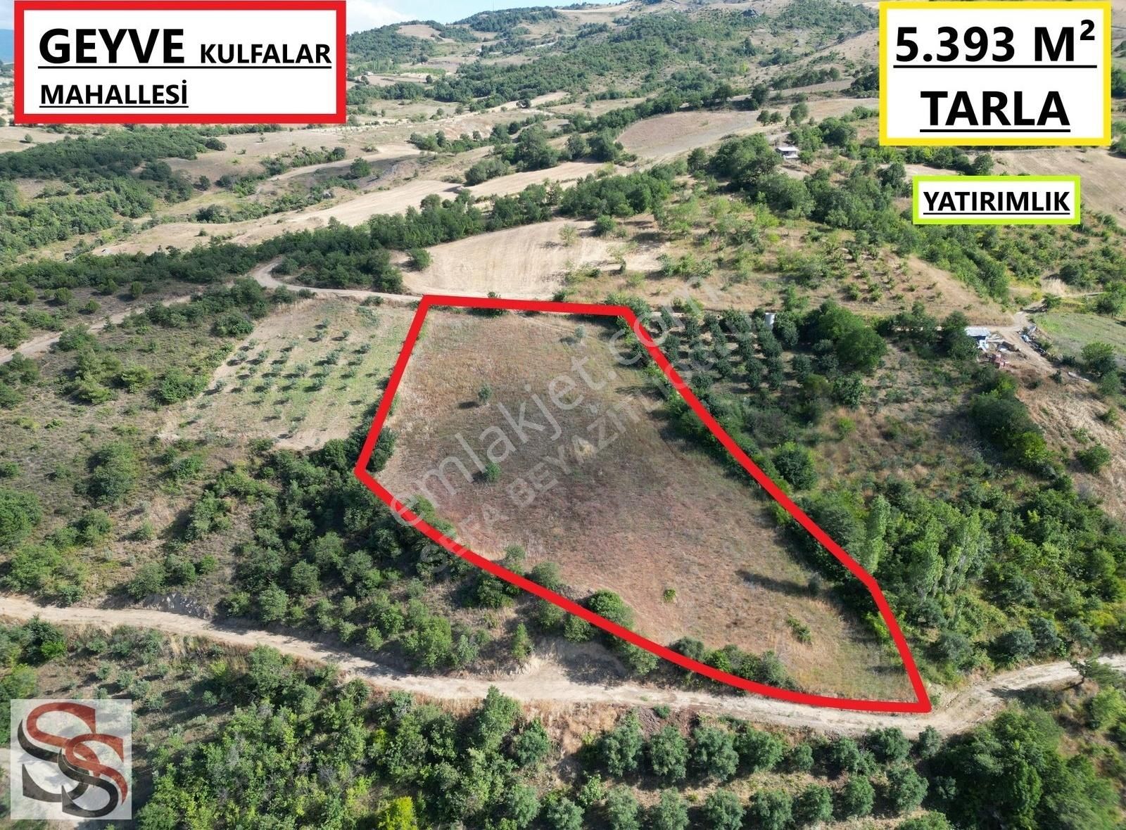 Geyve Kulfalar Mah. Muhteşem Konumda Yatırımlık 5.399 M² Tarla