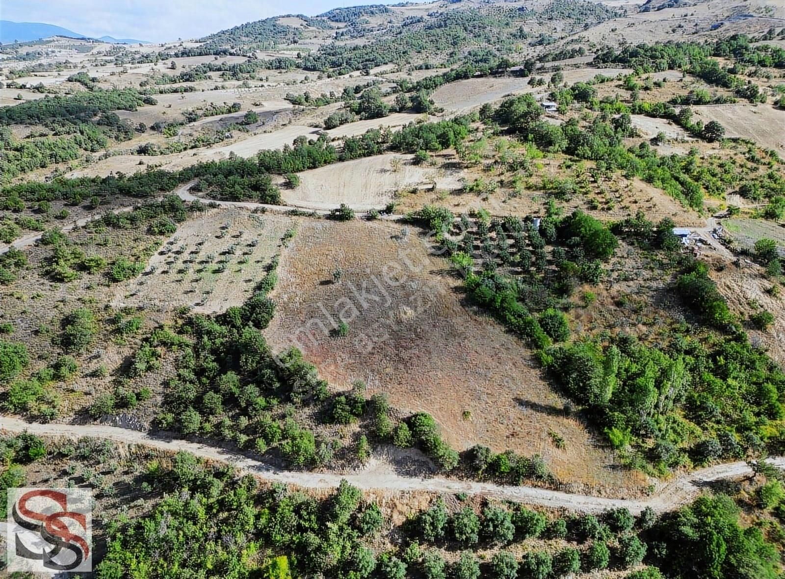 Geyve Kulfalar Mah. Muhteşem Konumda Yatırımlık 5.399 M² Tarla - Görsel 16