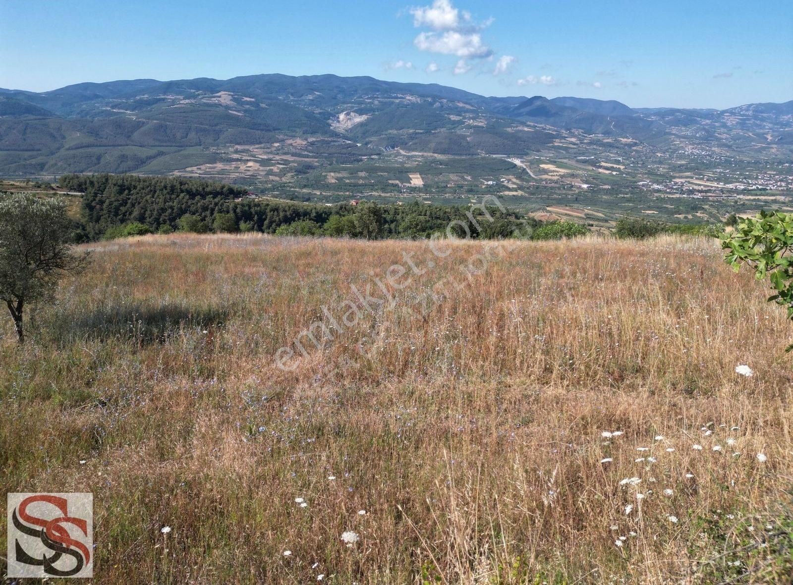 Geyve Kulfalar Mah. Muhteşem Konumda Yatırımlık 5.399 M² Tarla - Görsel 11