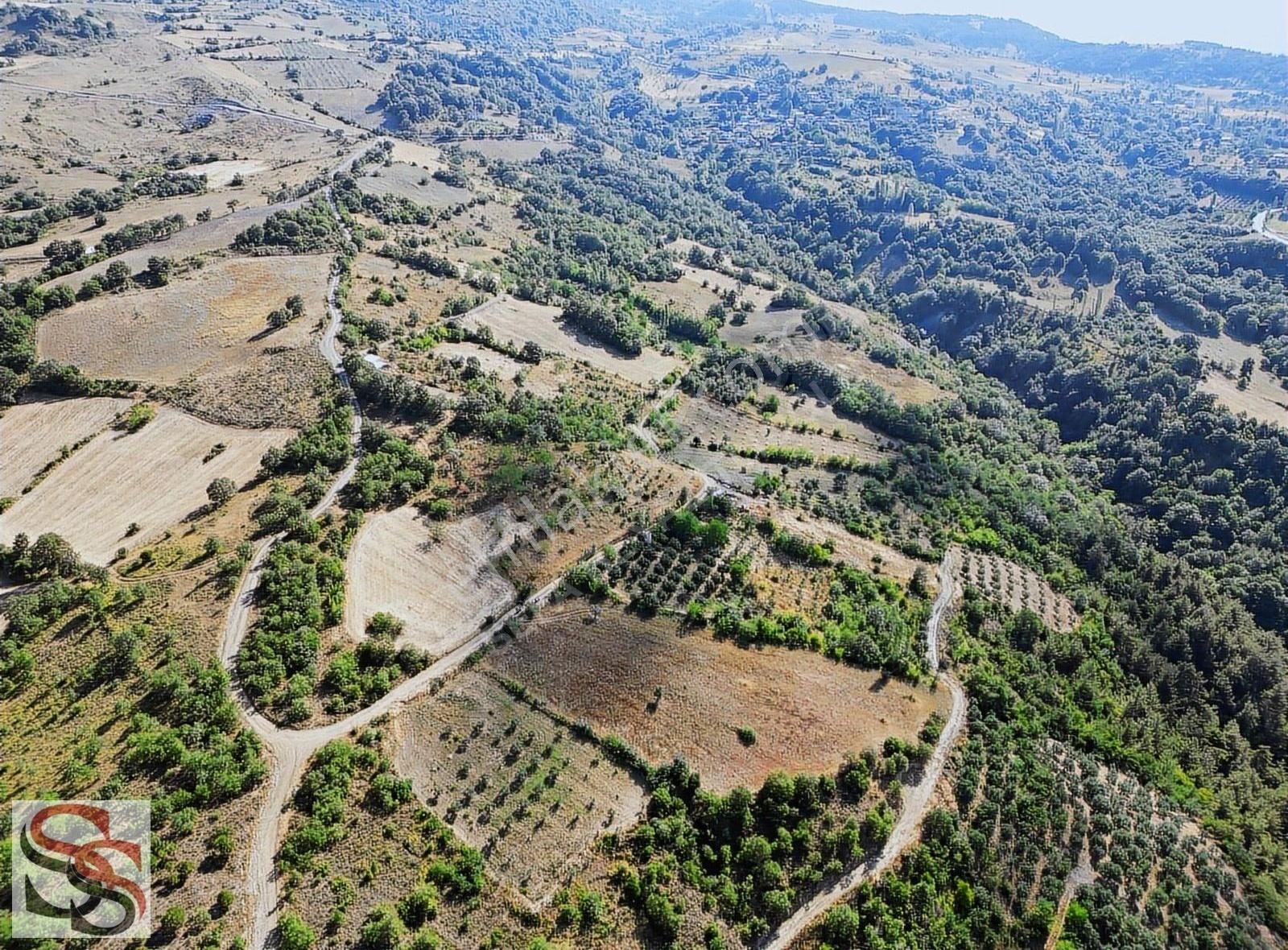 Geyve Kulfalar Mah. Muhteşem Konumda Yatırımlık 5.399 M² Tarla - Görsel 14