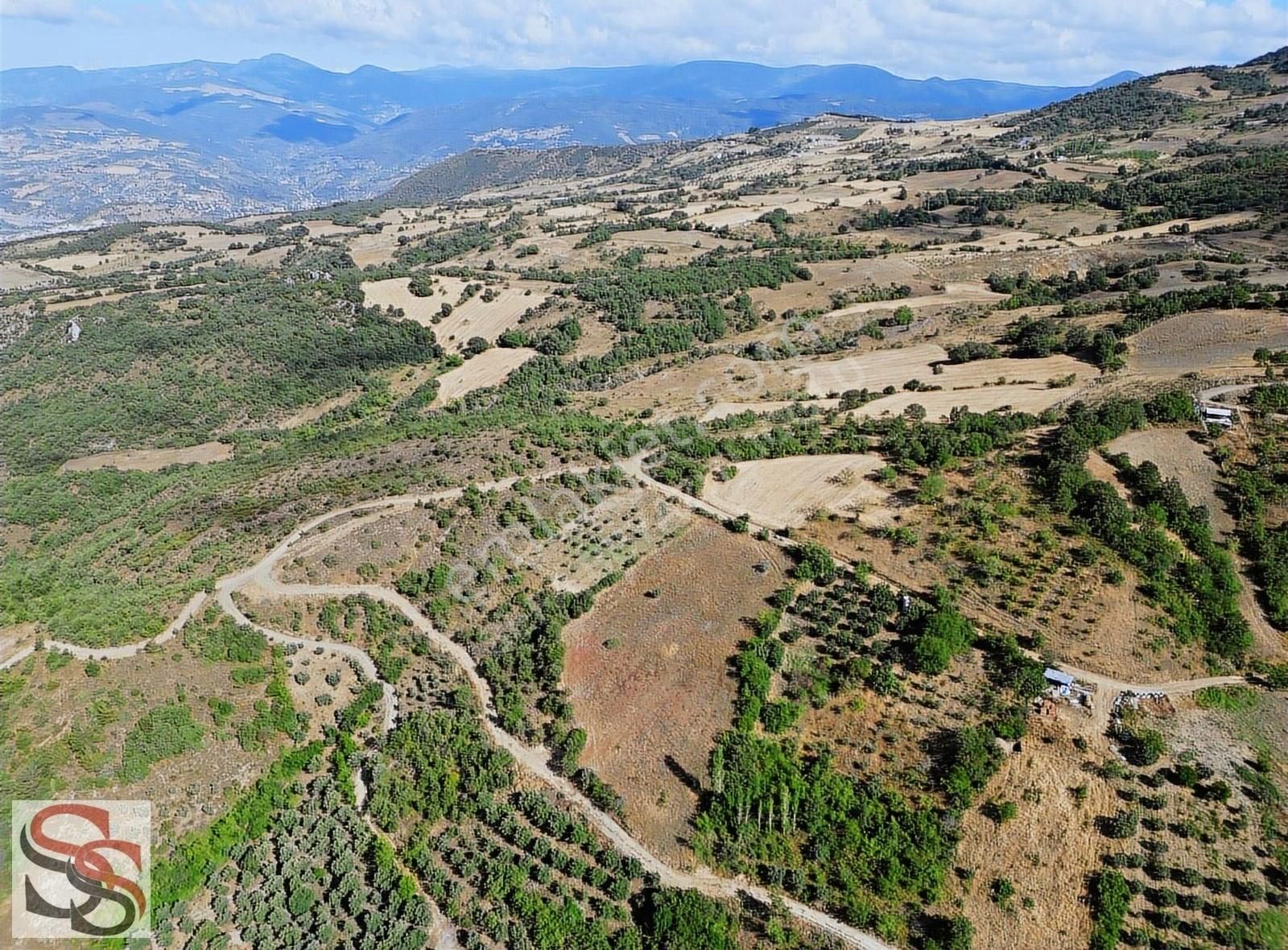 Geyve Kulfalar Mah. Muhteşem Konumda Yatırımlık 5.399 M² Tarla - Görsel 15