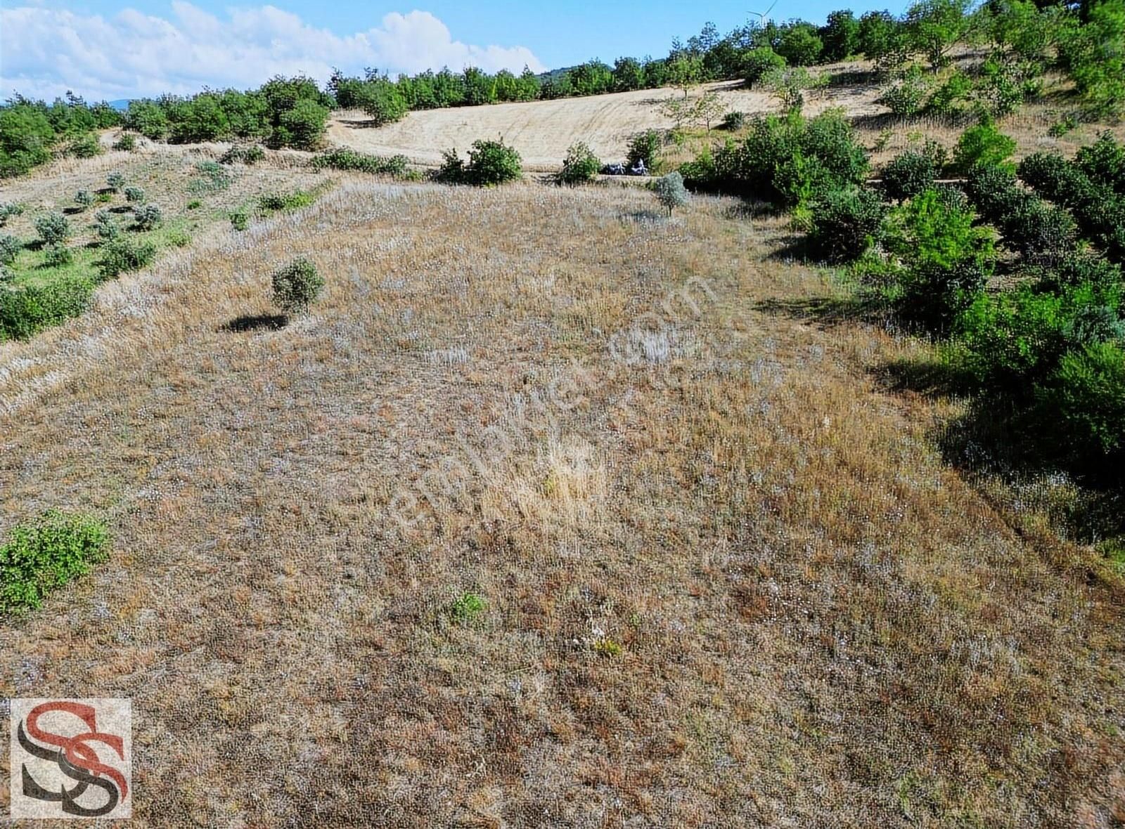 Geyve Kulfalar Mah. Muhteşem Konumda Yatırımlık 5.399 M² Tarla - Görsel 28