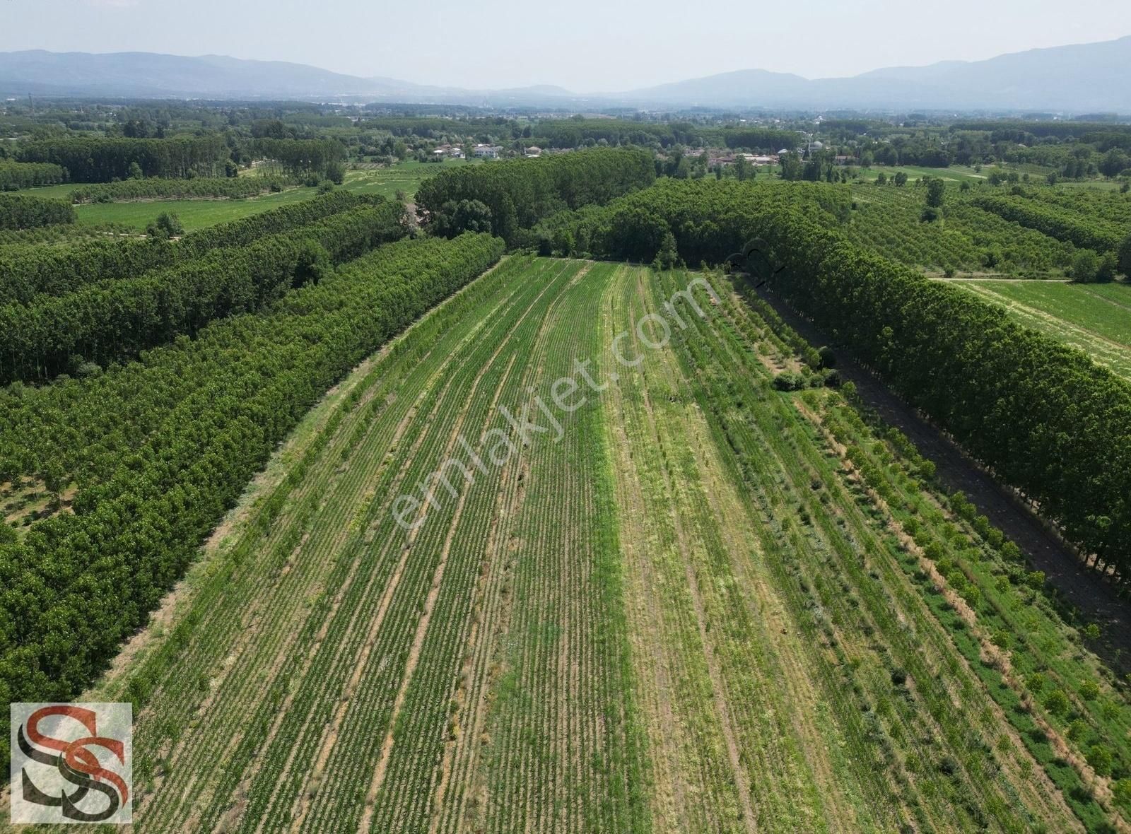 Akyazı Vakıf Mahallesi 6.661 M² Yatırımlık Tarla - Görsel 5