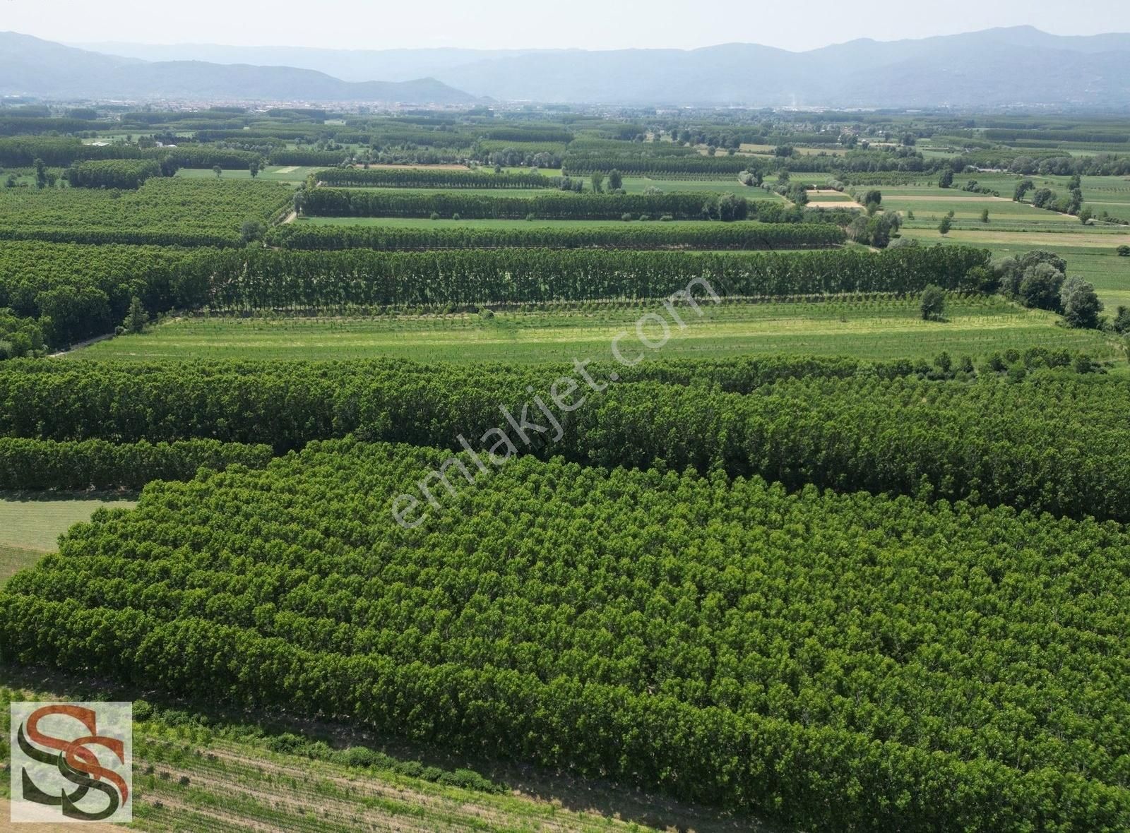 Akyazı Vakıf Mahallesi 6.661 M² Yatırımlık Tarla - Görsel 7