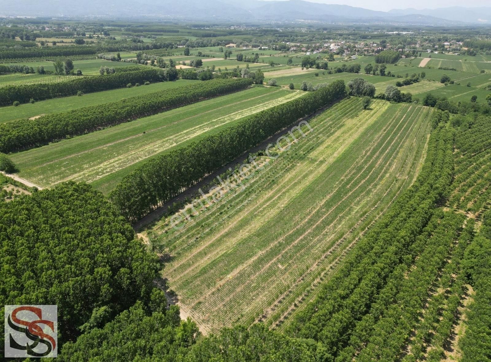 Akyazı Vakıf Mahallesi 6.661 M² Yatırımlık Tarla - Görsel 16
