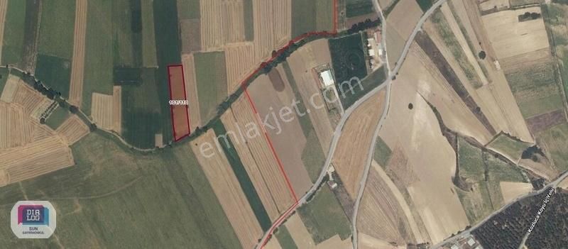 Dialog Sun Satılık İnegöl Hamzabey 5.300m² Fırsat Tarla