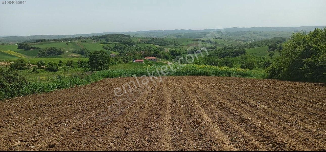 Sahiden Satılık Tarla