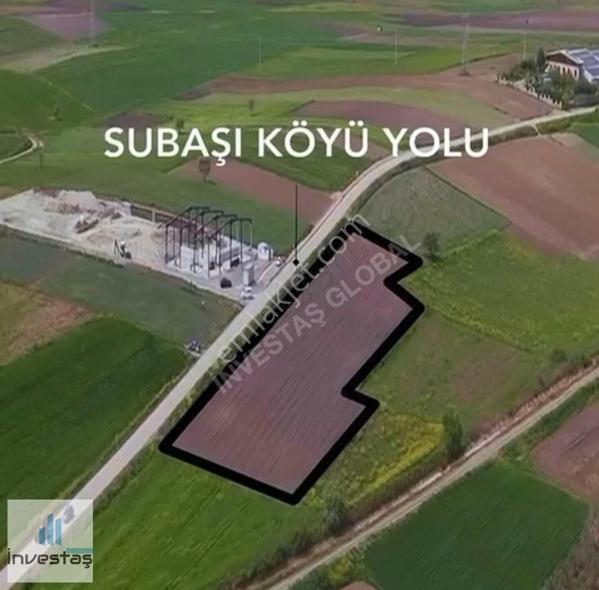 Karacabey Subaşı Asfalta 200 Metre Cepheli Yatırımlık Arazi - Görsel 4