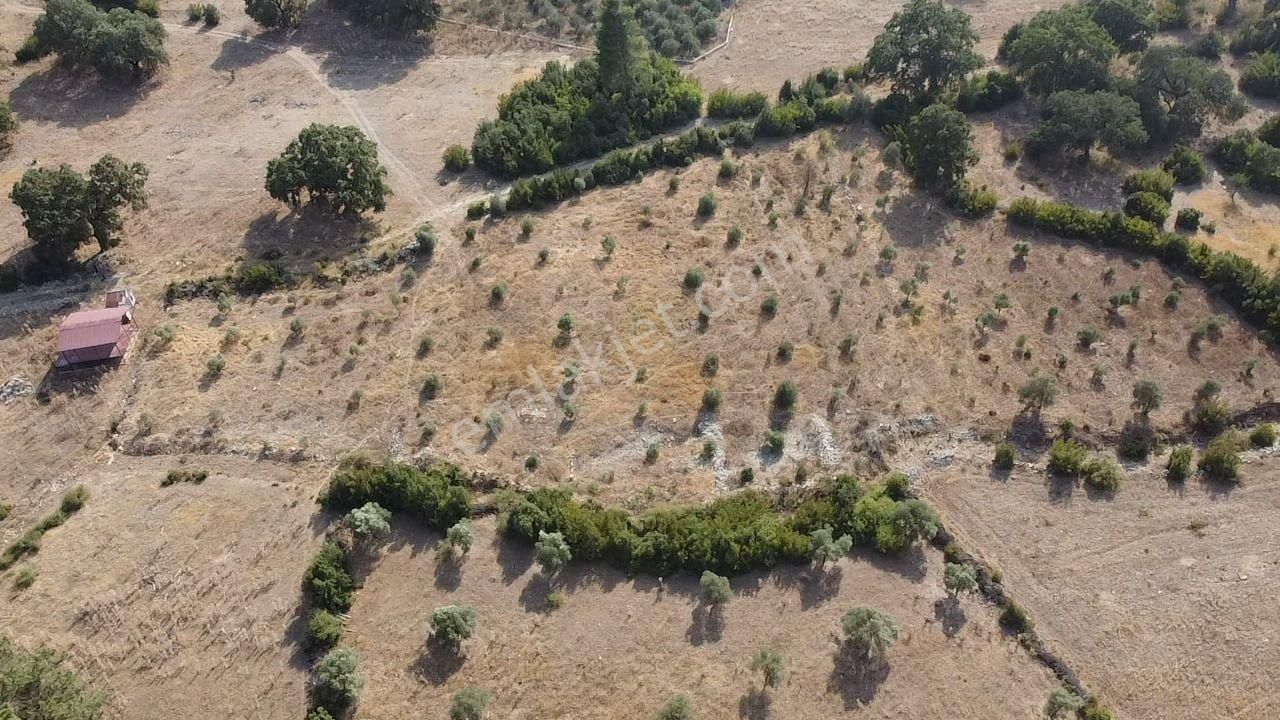 Uğur'dan Fethiye Gökbende 2100 M2 Yolu Olan Hisseli Arazi - Görsel 12