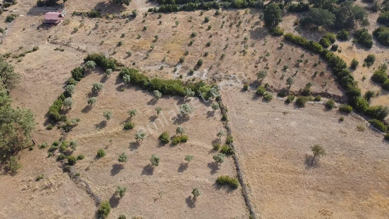 Uğur'dan Fethiye Gökbende 2100 M2 Yolu Olan Hisseli Arazi - Görsel 15