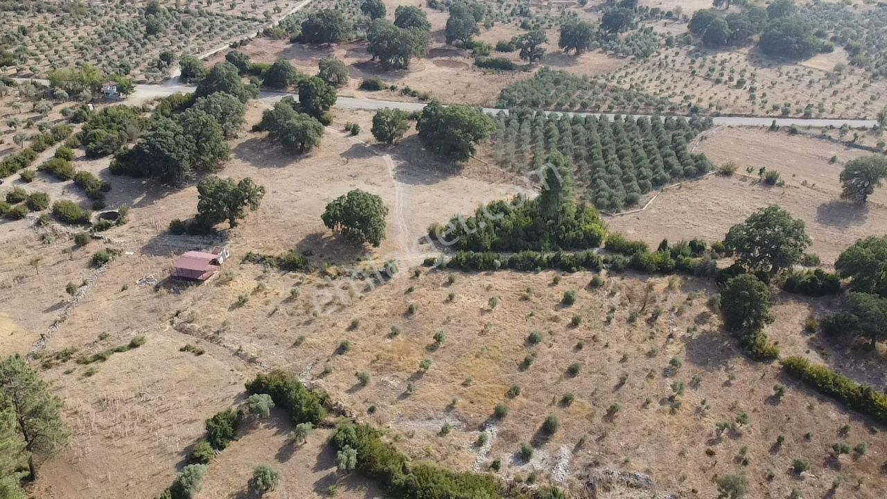 Uğur'dan Fethiye Gökbende 2100 M2 Yolu Olan Hisseli Arazi - Görsel 23