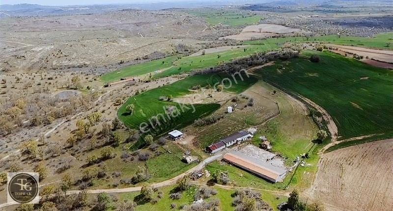 Merkeze Bağlı Erikler Köyünde 24.697 M² Satılık Arazi - Görsel 9