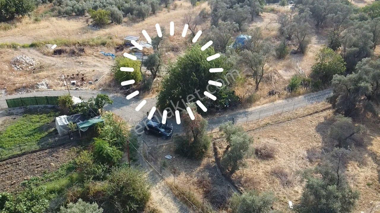 Uğur'dan Seydikemer Girmelerde 650 M2 Köy İçi İmarlı Arazi