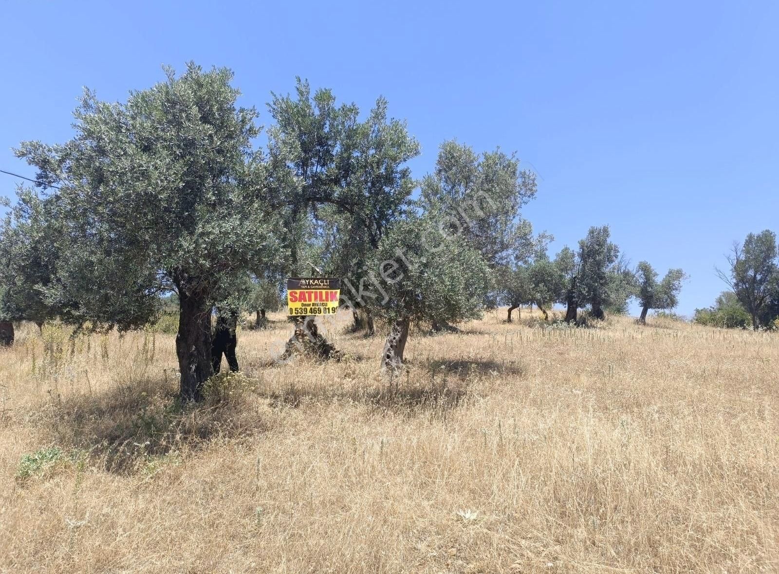 Menderes Akçaköyde 3869 M2 Arsa İcerisinde Yapı Acilll - Görsel 5