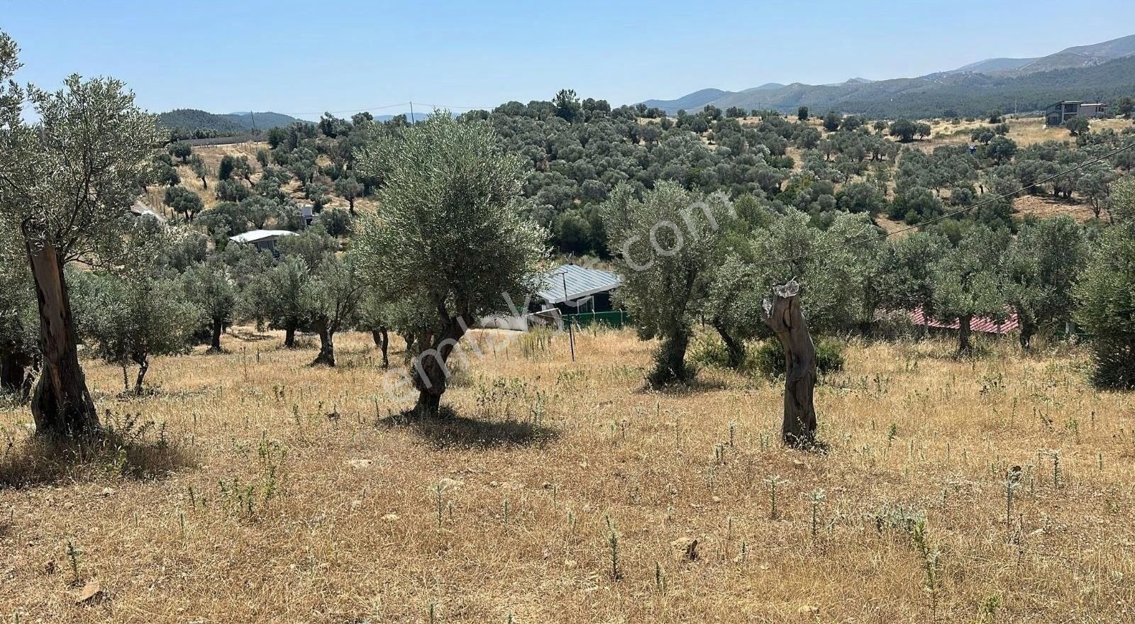 Menderes Akçaköyde 3869 M2 Arsa İcerisinde Yapı Acilll - Görsel 14