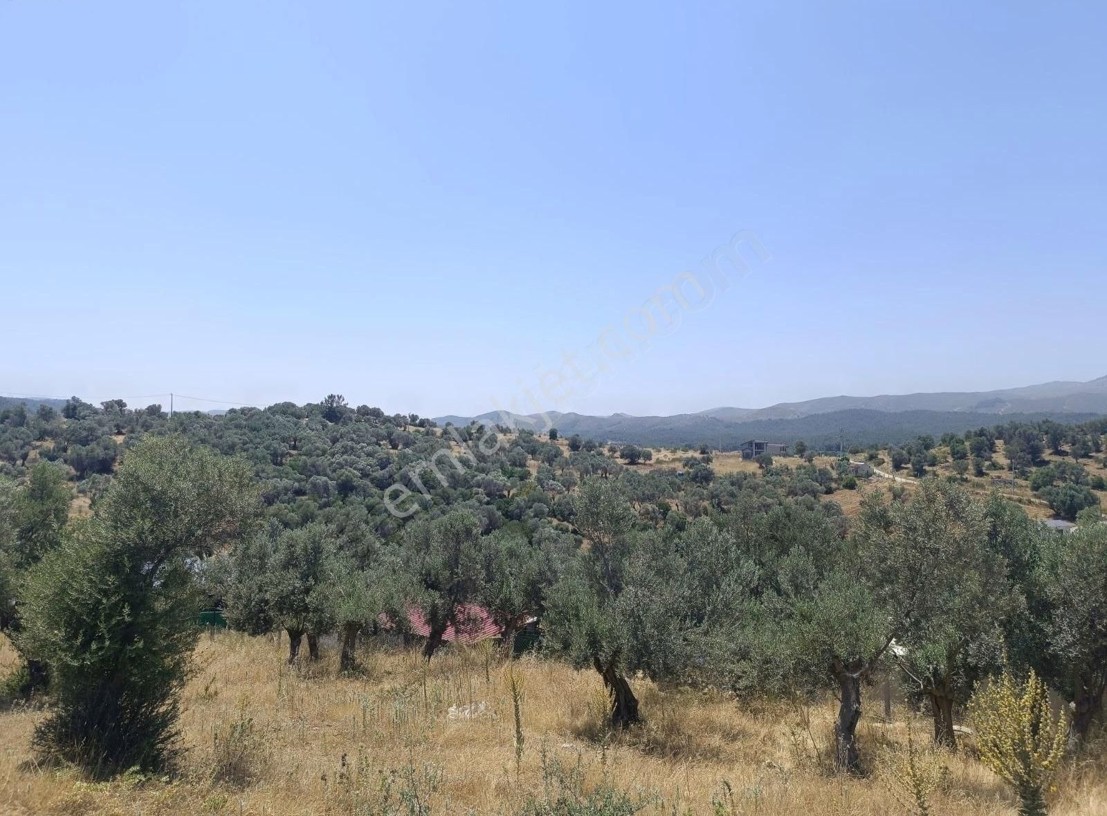 Menderes Akçaköyde 3869 M2 Arsa İcerisinde Yapı Acilll - Görsel 2