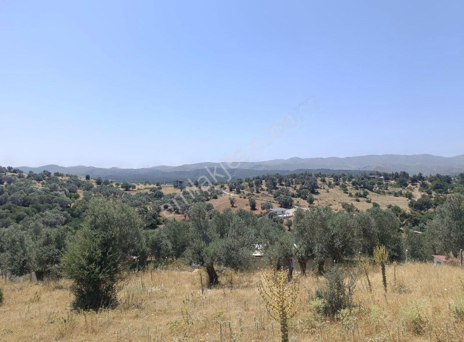 Menderes Akçaköyde 3869 M2 Arsa İcerisinde Yapı Acilll - Görsel 13