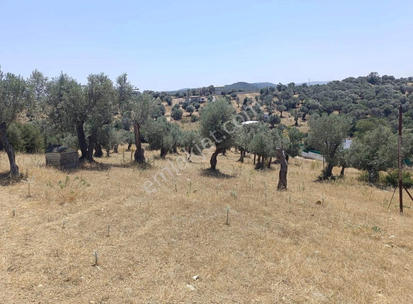 Menderes Akçaköyde 3869 M2 Arsa İcerisinde Yapı Acilll - Görsel 3