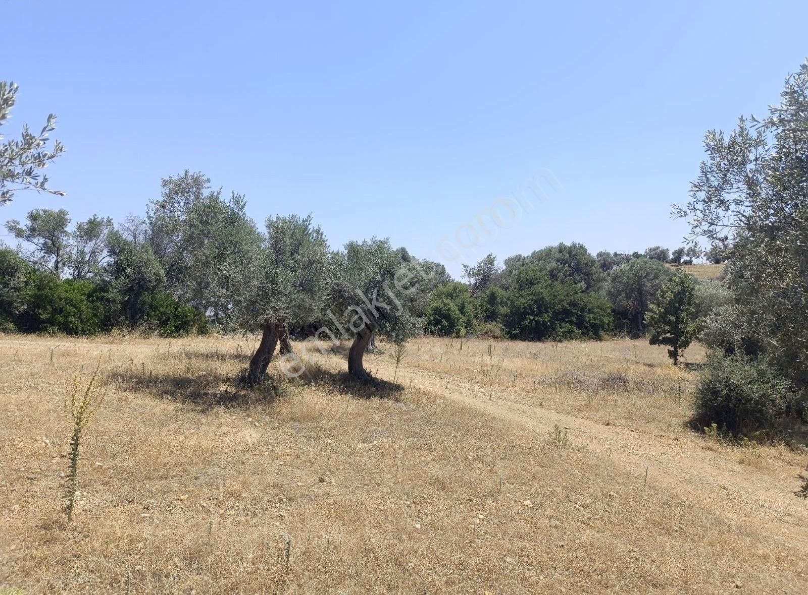 Menderes Akçaköyde 3869 M2 Arsa İcerisinde Yapı Acilll