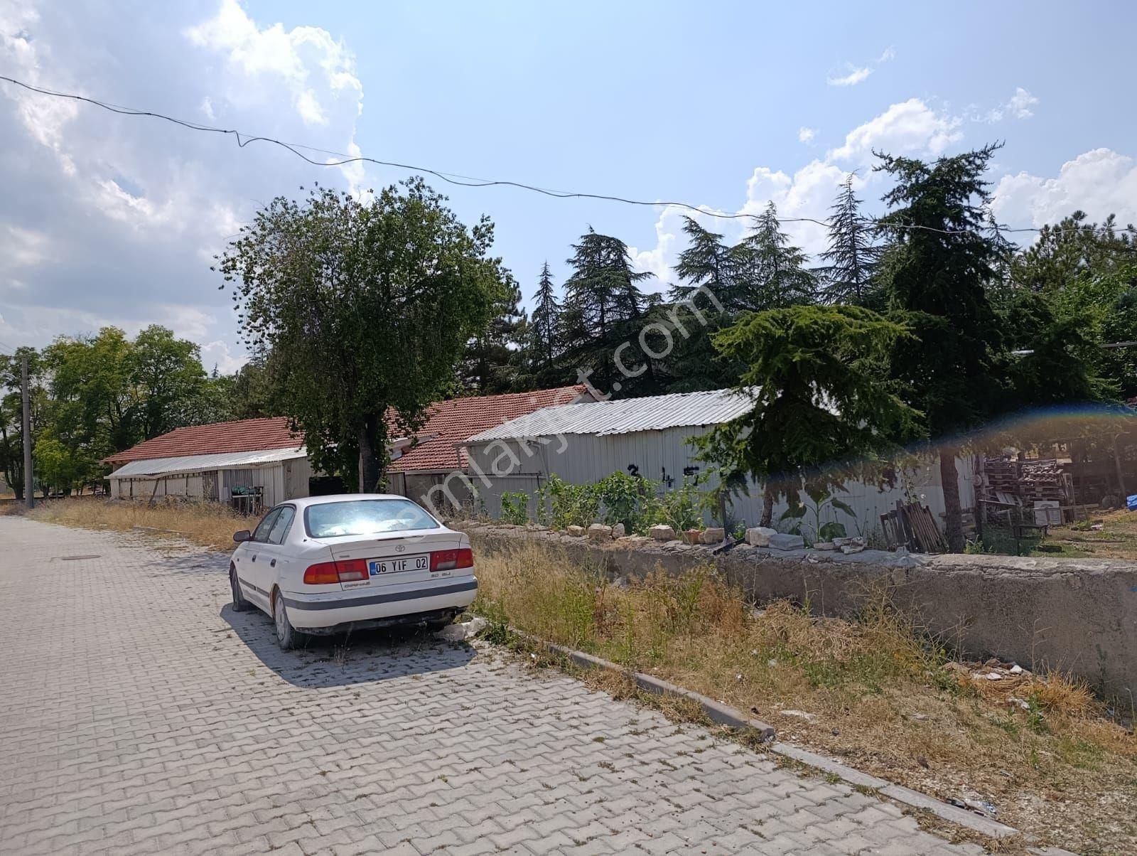 Hayvancılıga Uygun - Görsel 6