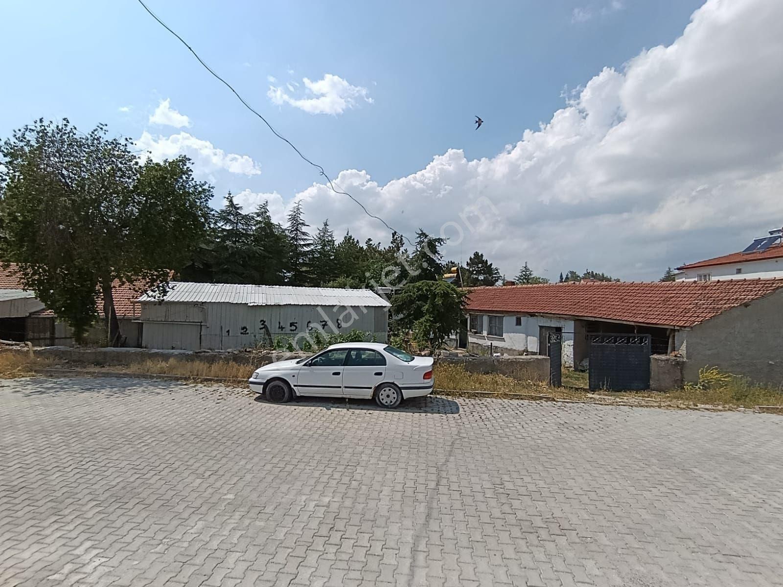 Hayvancılıga Uygun - Görsel 2