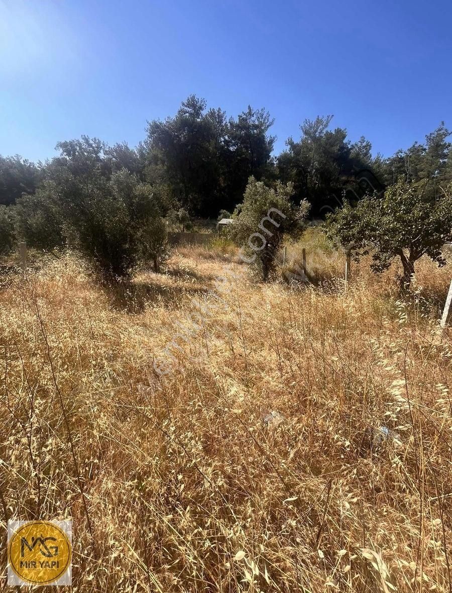 Mir'den Belenbaşında 255 Mt Hisse Tapulu Yatırımlık Tarla - Görsel 5