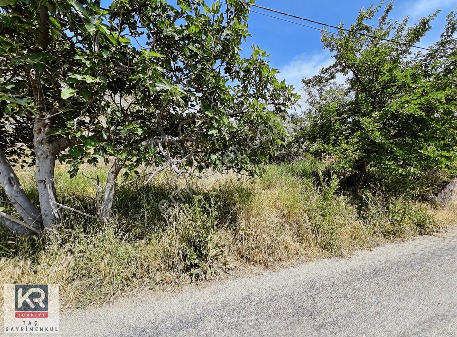 Kr Taç Mudanya Mirzaoba Köy Girişinde Arsa - Görsel 5