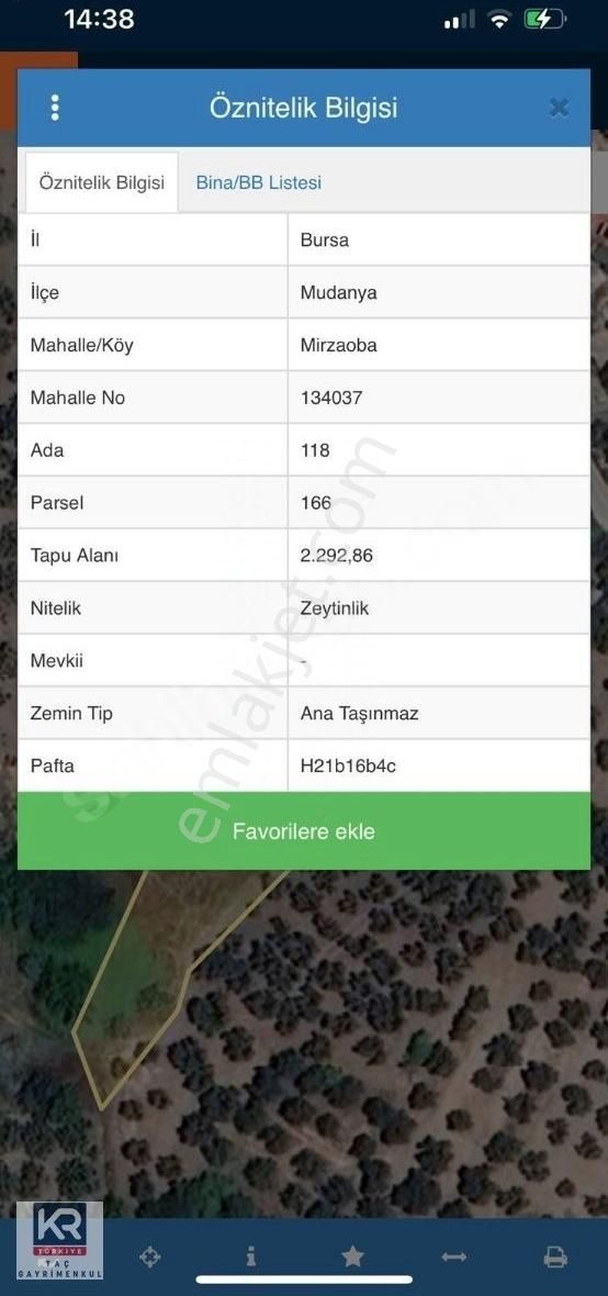 Kr Taç Mudanya Mırzaoba 2292 M2 Satılık Zeytınlık - Görsel 2
